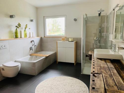 诺费尔登Ferienhaus Sonnenaufgang的浴室配有盥洗盆、卫生间和淋浴。