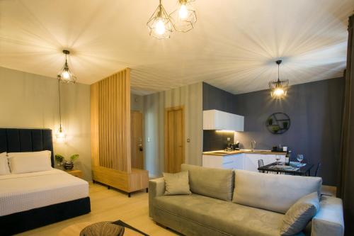 塞萨洛尼基marizas luxury suites #2的带沙发和床的客厅以及厨房。