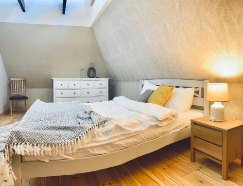 文茨皮尔斯Dižbraki的一间卧室配有一张大床和一个梳妆台