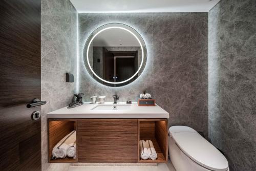 上海上海陆家嘴世博中心逸扉酒店的一间带水槽和镜子的浴室