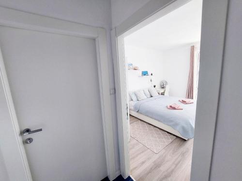 斯维耶可夫公寓客房内的一张或多张床位
