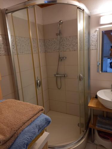 莱马特Talaris La Palmyre的带淋浴和盥洗盆的浴室