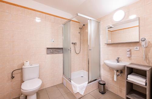 布拉格哲拉塔瓦哈酒店的带淋浴、卫生间和盥洗盆的浴室