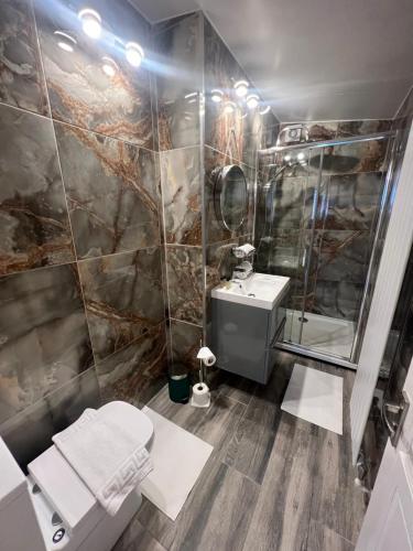 威森肖Studio Flat的带淋浴、卫生间和盥洗盆的浴室
