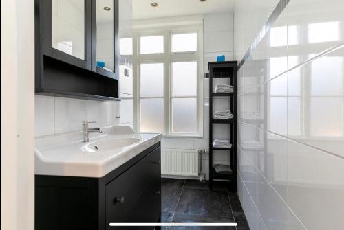 斯滕韦克Villa Steenwyck Giethoorn的白色的浴室设有水槽和窗户。