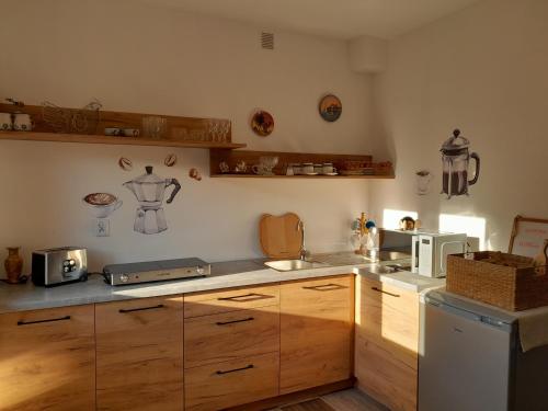 BystreKrystyna的厨房配有木制橱柜和白色微波炉