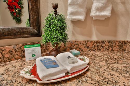 鸽子谷圣诞广场旅馆的浴室内一个台面上的一个毛巾