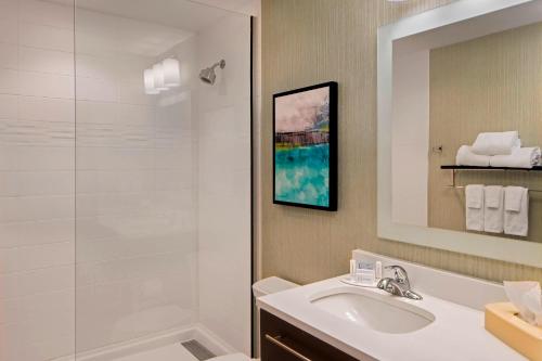 弗利TownePlace Suites by Marriott Foley at OWA的一间带水槽和淋浴的浴室
