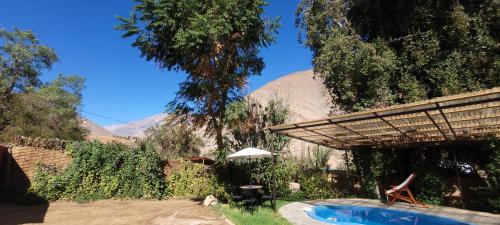 HorconCabaña en Valle de Elqui的后院设有游泳池和遮阳伞
