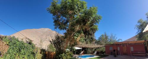 HorconCabaña en Valle de Elqui的一座房子和一座游泳池旁的树