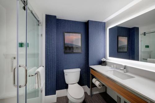 哥伦比亚Fairfield Inn & Suites Columbia Downtown的浴室设有蓝色的墙壁、卫生间和水槽。