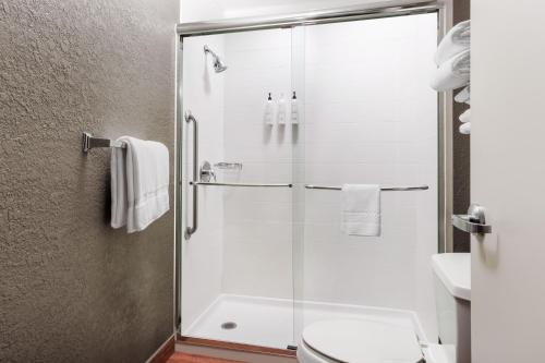 西沃威克华威普罗维登斯西春季山丘套房酒店的浴室设有玻璃淋浴间和卫生间