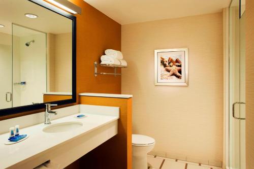 塔斯廷费尔菲尔德客栈及万豪图斯顶奥兰治乡村酒店的一间带水槽、卫生间和镜子的浴室