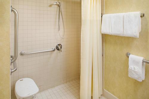 休斯顿休斯顿原住客栈 - 西部大学的带淋浴、卫生间和盥洗盆的浴室