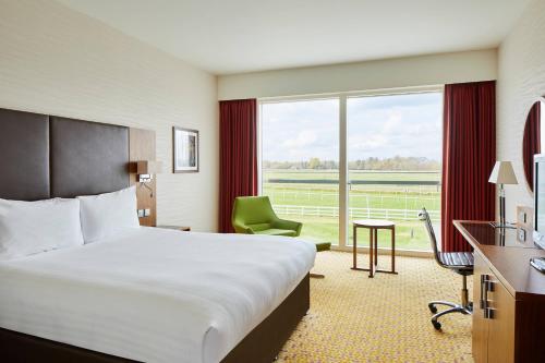 灵格弗尔德林菲尔德公园万豪酒店及乡村俱乐部的酒店客房设有一张床和一个大窗户