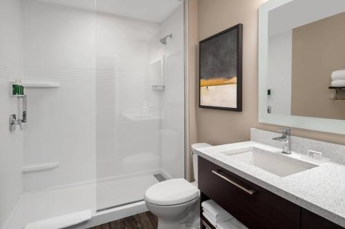 双子瀑布TownePlace Suites by Marriott Twin Falls的浴室配有卫生间、盥洗盆和淋浴。