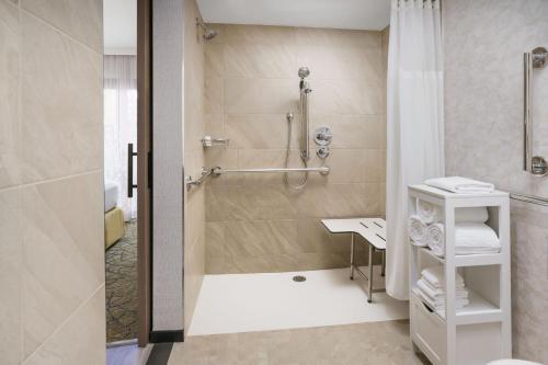 纽约TownePlace Suites by Marriott New York Manhattan/Chelsea的带淋浴和盥洗盆的浴室