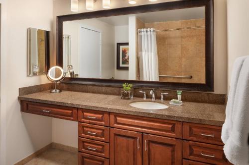 范尔韦尔道格拉斯河滨万豪酒店的一间带水槽和大镜子的浴室