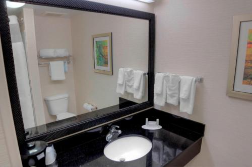 西班牙堡莫比尔达夫尼/东海岸万豪费尔菲尔德套房酒店（原西班牙堡垒/东海岸酒店）的一间带水槽和大镜子的浴室