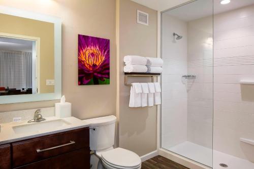 埃斯特罗TownePlace Suites by Marriott Fort Myers Estero的带淋浴、卫生间和盥洗盆的浴室