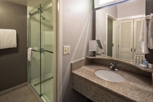 岩石丘岩石丘万怡酒店的一间带水槽和玻璃淋浴的浴室