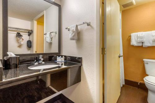 默特尔比奇默特尔比奇北费尔菲尔德客栈的一间带水槽、卫生间和镜子的浴室