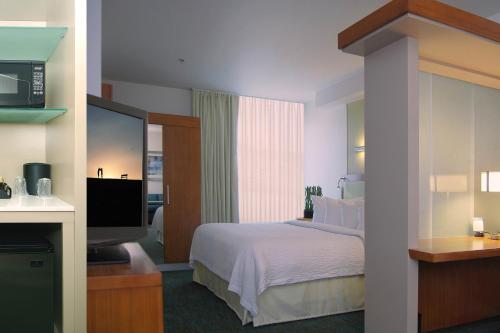 拉斯维加斯斯普林希尔万豪拉斯维加斯北赛道酒店的配有一张床和一台平面电视的酒店客房