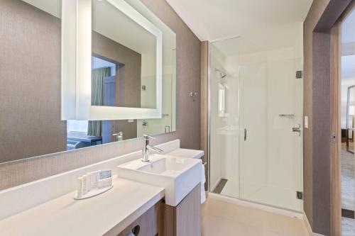 奥卡拉SpringHill Suites by Marriott Ocala的一间带水槽和镜子的浴室