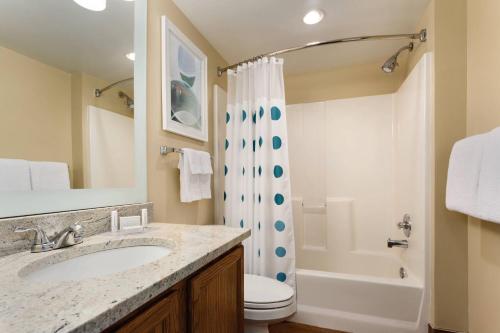 雷顿盐湖城雷顿套房酒店的一间带水槽、卫生间和淋浴的浴室