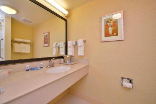 威廉波特威廉波特费尔菲尔德万豪套房酒店的一间带水槽和大镜子的浴室