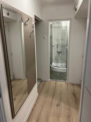 奥西耶克Apartment VBK Osijek的一间空房间,配有镜子和一间浴室