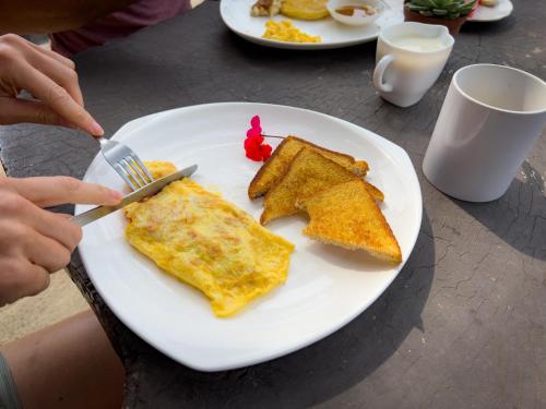 蒙泰韦尔德哥斯达黎加Casa Tranquilo Hostel的吃一盘食物的人,包括鸡蛋和烤面包