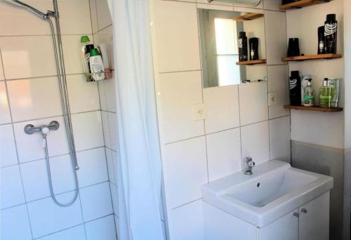 AlpnachBarlis - stilvolle Ferien in typischem Dorfhaus的一间带水槽和淋浴的浴室