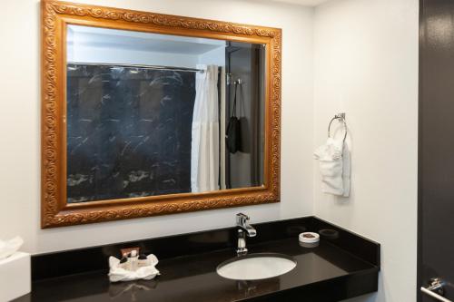 新奥尔良法国区黎塞留酒店的一间带水槽和镜子的浴室