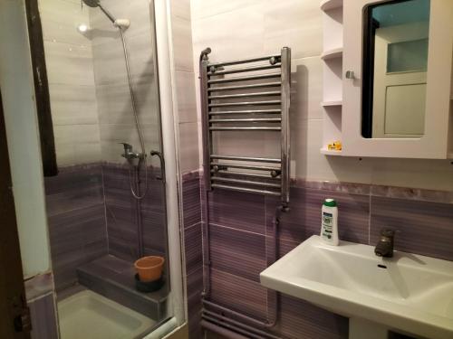 阿尔及尔MAÏS的带淋浴和盥洗盆的小浴室
