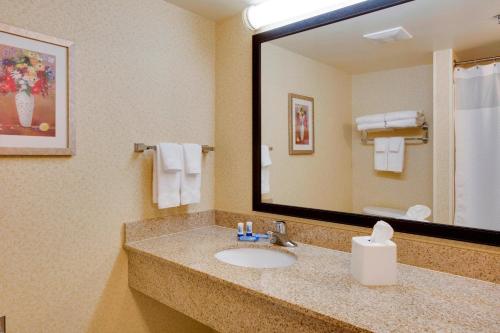 南希尔南希尔I-85费尔菲尔德客栈及套房酒店的一间带水槽和大镜子的浴室