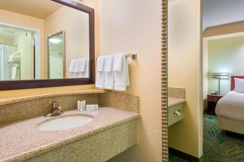 迈尔斯堡迈尔斯堡机场春丘套房酒店的一间带水槽和镜子的浴室