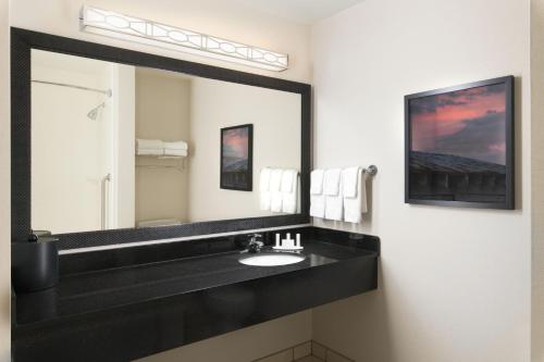 诺克斯维尔Fairfield by Marriott Inn & Suites Knoxville Turkey Creek的浴室设有黑色水槽和大镜子