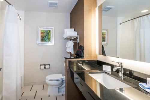 恩特普赖斯詹姆斯敦费尔菲尔德客栈 的一间带卫生间、水槽和镜子的浴室