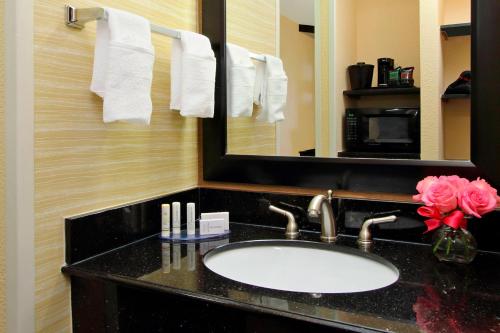 科罗拉多斯普林斯科罗拉多斯普林斯南费尔菲尔德套房客栈的一间带水槽和镜子的浴室