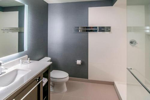 拉皮德城拉皮德城原住客栈的浴室配有卫生间、盥洗盆和淋浴。