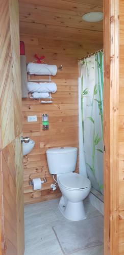 瓜斯卡Cabaña Los Linos的木制浴室设有卫生间和水槽