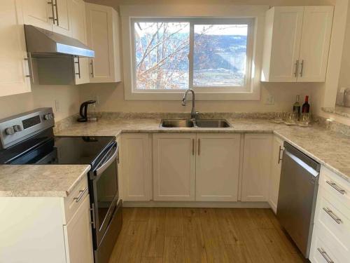 Lake CountryAvo-Sa Orchard的厨房配有白色橱柜、水槽和窗户。