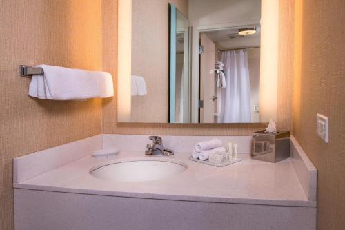 盖瑟斯堡SpringHill Suites by Marriott Gaithersburg的一间带水槽和镜子的浴室