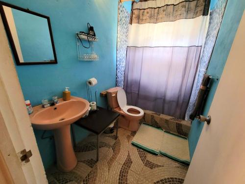 ChoiseulComfort Suites - Two Bedroom Apartment的一间带粉红色卫生间和盥洗盆的浴室