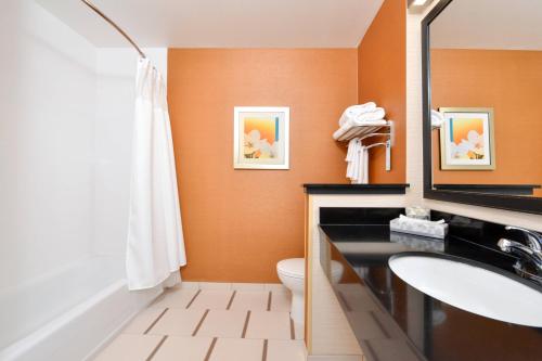 圣克鲁兹圣克鲁斯费尔菲尔德万豪套房酒店的一间带卫生间、水槽和镜子的浴室
