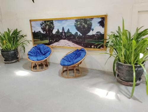暹粒Shalima Guesthouse的植物间里两把带蓝色靠垫的椅子