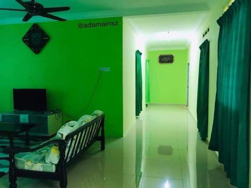 大港Hijau Homestay的客厅的绿色墙壁,配有沙发