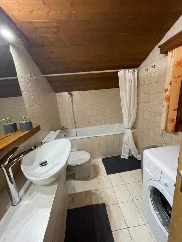 阿尔卑巴赫Alpapart Schneider的浴室配有卫生间、盥洗盆和洗衣机。