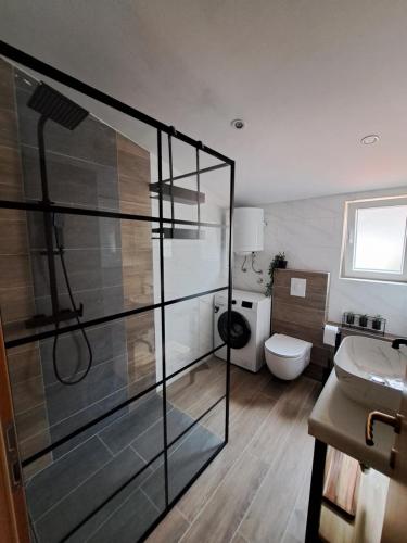 杜布罗夫尼克芭蕾瑞娜公寓的一间带玻璃淋浴和卫生间的浴室